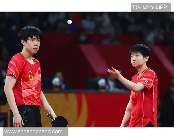 深圳乒乓球队实力揭秘:乒乓球巨献背后的故事与成就